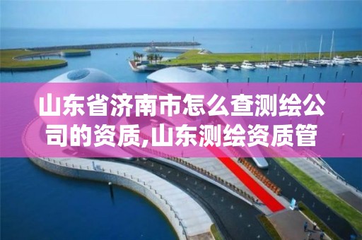 山東省濟南市怎么查測繪公司的資質,山東測繪資質管理系統