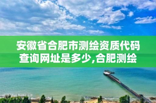 安徽省合肥市測繪資質代碼查詢網址是多少,合肥測繪局