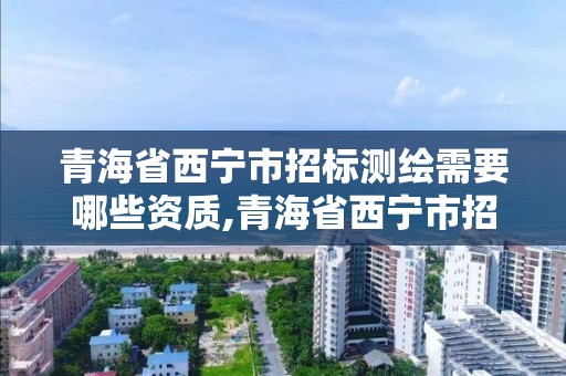 青海省西寧市招標(biāo)測(cè)繪需要哪些資質(zhì),青海省西寧市招標(biāo)測(cè)繪需要哪些資質(zhì)證書(shū)