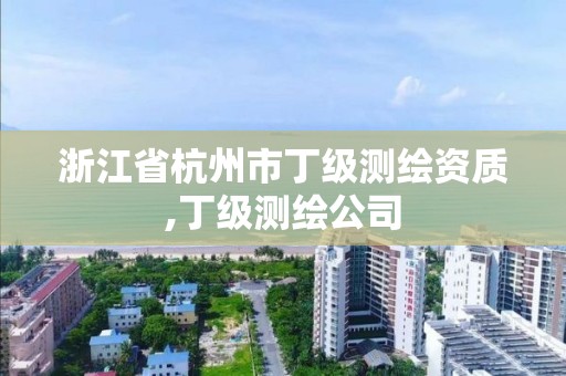 浙江省杭州市丁級(jí)測(cè)繪資質(zhì),丁級(jí)測(cè)繪公司