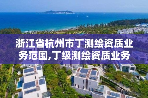 浙江省杭州市丁測繪資質業務范圍,丁級測繪資質業務范圍