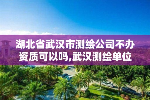 湖北省武漢市測繪公司不辦資質(zhì)可以嗎,武漢測繪單位。