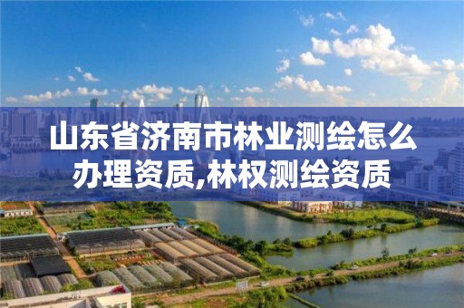 山東省濟南市林業測繪怎么辦理資質,林權測繪資質