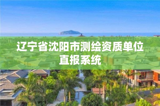 遼寧省沈陽市測繪資質單位直報系統