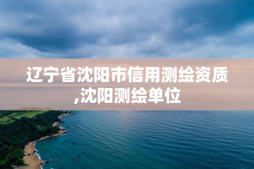 遼寧省沈陽市信用測繪資質,沈陽測繪單位