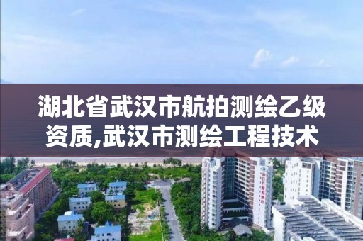 湖北省武漢市航拍測繪乙級資質,武漢市測繪工程技術規定