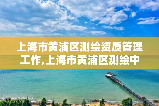 上海市黃浦區(qū)測繪資質(zhì)管理工作,上海市黃浦區(qū)測繪中心