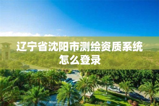 遼寧省沈陽市測繪資質系統怎么登錄