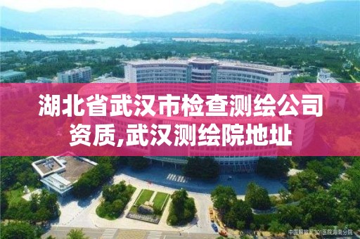 湖北省武漢市檢查測繪公司資質,武漢測繪院地址