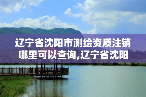 遼寧省沈陽市測(cè)繪資質(zhì)注銷哪里可以查詢,遼寧省沈陽市測(cè)繪資質(zhì)注銷哪里可以查詢到。