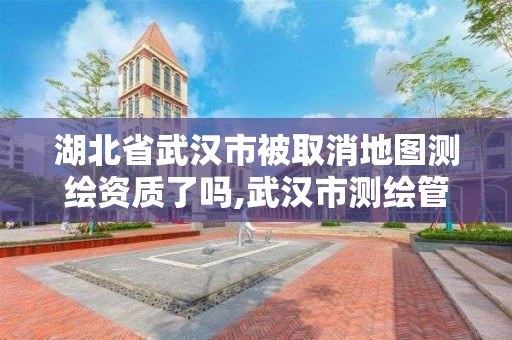 湖北省武漢市被取消地圖測繪資質(zhì)了嗎,武漢市測繪管理條例。