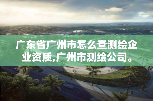 廣東省廣州市怎么查測繪企業資質,廣州市測繪公司。