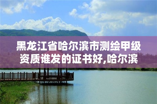 黑龍江省哈爾濱市測繪甲級資質誰發的證書好,哈爾濱的測繪公司有哪些。