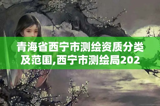 青海省西寧市測繪資質分類及范圍,西寧市測繪局2020招聘