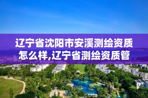 遼寧省沈陽市安溪測繪資質怎么樣,遼寧省測繪資質管理信息系統