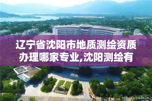 遼寧省沈陽市地質測繪資質辦理哪家專業,沈陽測繪有限公司。