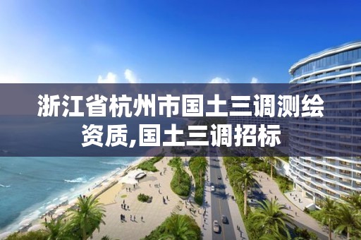 浙江省杭州市國土三調(diào)測繪資質(zhì),國土三調(diào)招標