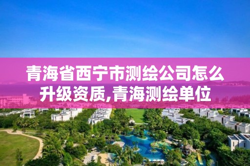 青海省西寧市測繪公司怎么升級資質,青海測繪單位