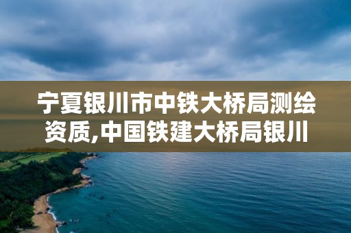 寧夏銀川市中鐵大橋局測繪資質(zhì),中國鐵建大橋局銀川