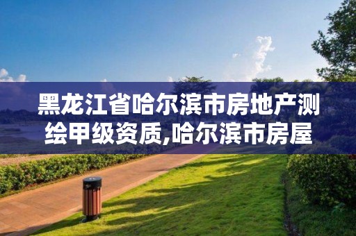 黑龍江省哈爾濱市房地產(chǎn)測繪甲級資質(zhì),哈爾濱市房屋測繪公司