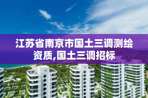 江蘇省南京市國土三調(diào)測繪資質(zhì),國土三調(diào)招標(biāo)