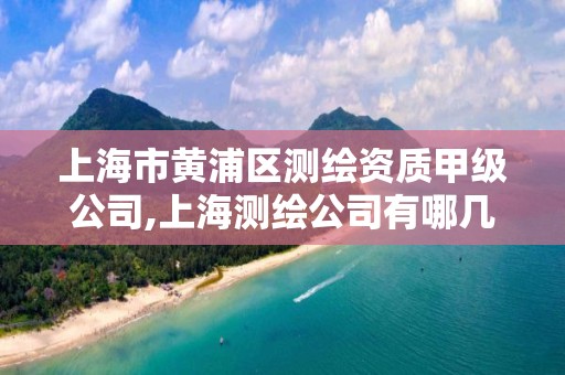 上海市黃浦區(qū)測繪資質(zhì)甲級公司,上海測繪公司有哪幾家