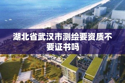 湖北省武漢市測繪要資質不要證書嗎