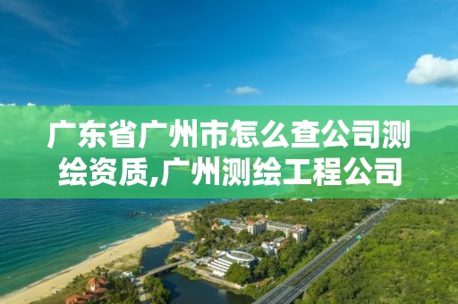 廣東省廣州市怎么查公司測繪資質,廣州測繪工程公司