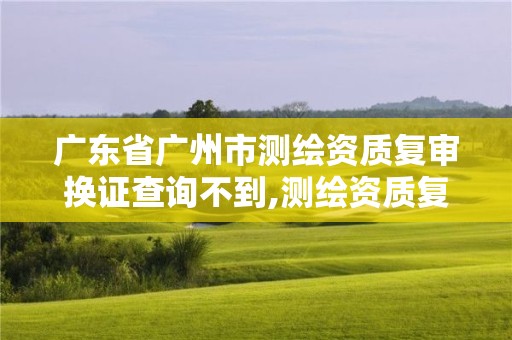 廣東省廣州市測繪資質復審換證查詢不到,測繪資質復審換證申請書怎么寫