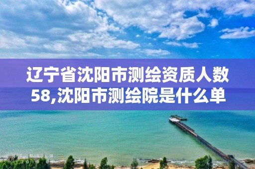 遼寧省沈陽市測繪資質人數58,沈陽市測繪院是什么單位