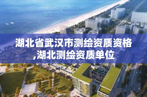 湖北省武漢市測繪資質資格,湖北測繪資質單位