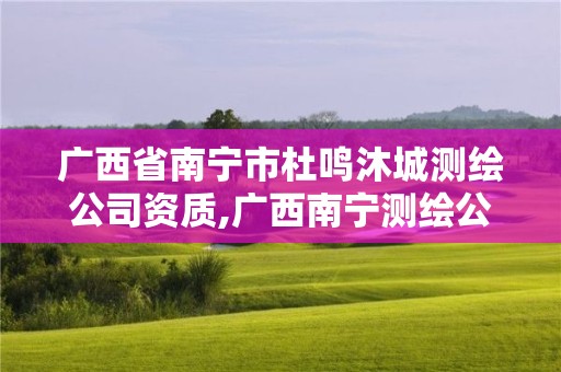 廣西省南寧市杜鳴沐城測繪公司資質,廣西南寧測繪公司排名。