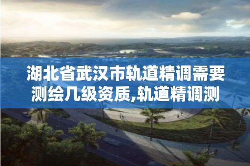 湖北省武漢市軌道精調需要測繪幾級資質,軌道精調測量實訓總結