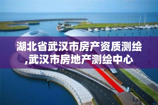 湖北省武漢市房產資質測繪,武漢市房地產測繪中心