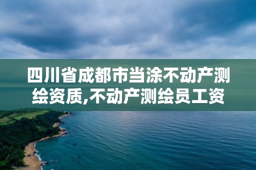 四川省成都市當涂不動產測繪資質,不動產測繪員工資高不。