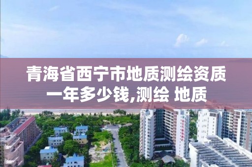 青海省西寧市地質測繪資質一年多少錢,測繪 地質