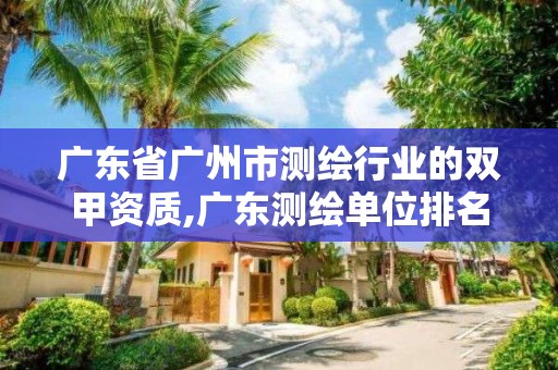 廣東省廣州市測(cè)繪行業(yè)的雙甲資質(zhì),廣東測(cè)繪單位排名