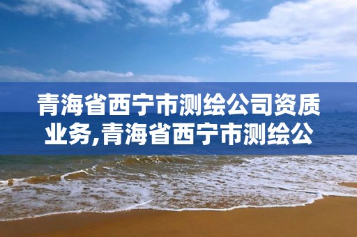 青海省西寧市測繪公司資質業務,青海省西寧市測繪公司資質業務范圍