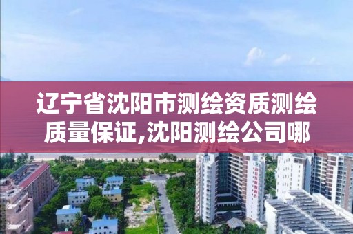 遼寧省沈陽市測繪資質測繪質量保證,沈陽測繪公司哪家強哪家好