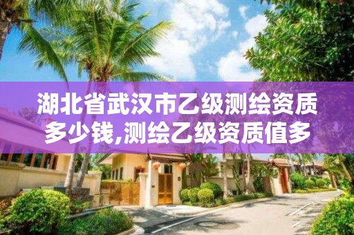 湖北省武漢市乙級測繪資質多少錢,測繪乙級資質值多少錢