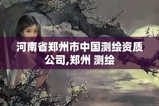 河南省鄭州市中國測繪資質(zhì)公司,鄭州 測繪