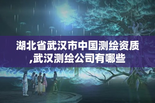 湖北省武漢市中國測繪資質(zhì),武漢測繪公司有哪些