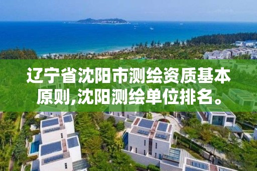 遼寧省沈陽市測繪資質基本原則,沈陽測繪單位排名。