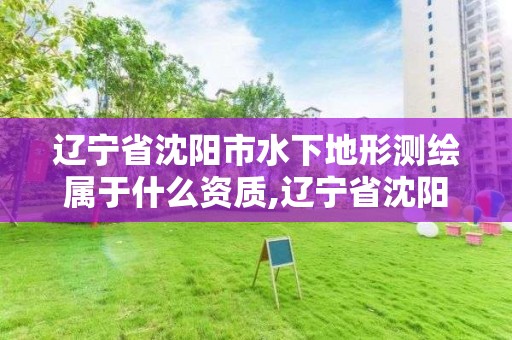 遼寧省沈陽市水下地形測繪屬于什么資質,遼寧省沈陽市水下地形測繪屬于什么資質企業。