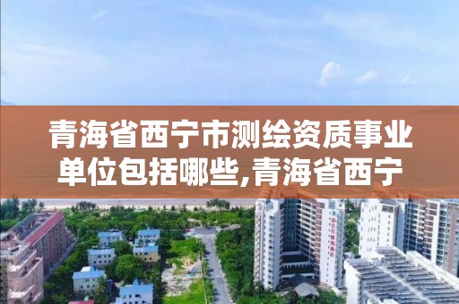 青海省西寧市測繪資質事業(yè)單位包括哪些,青海省西寧市測繪院。