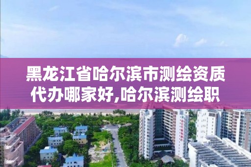 黑龍江省哈爾濱市測繪資質代辦哪家好,哈爾濱測繪職工中等專業學校