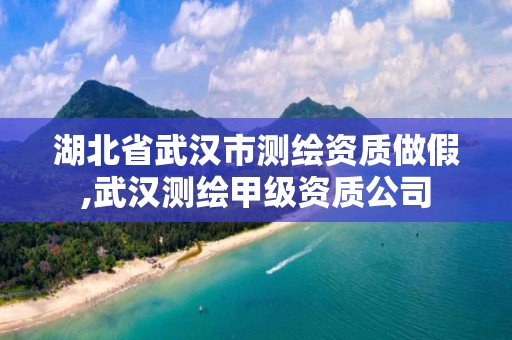 湖北省武漢市測繪資質做假,武漢測繪甲級資質公司