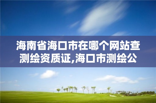 海南省?？谑性谀膫€網站查測繪資質證,?？谑袦y繪公司。