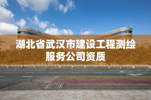 湖北省武漢市建設工程測繪服務公司資質