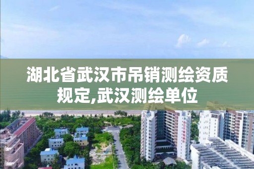 湖北省武漢市吊銷測繪資質(zhì)規(guī)定,武漢測繪單位